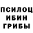 Псилоцибиновые грибы Psilocybine cubensis Esther House