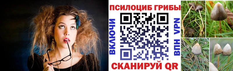 Псилоцибиновые грибы Magic Shrooms  сколько стоит  Чердынь 